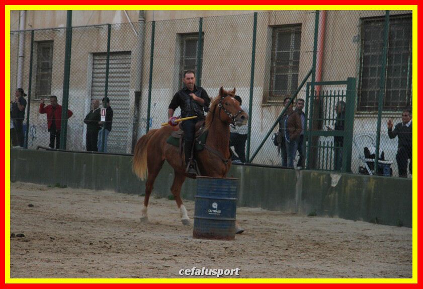 161106 equestre 056_tn.jpg